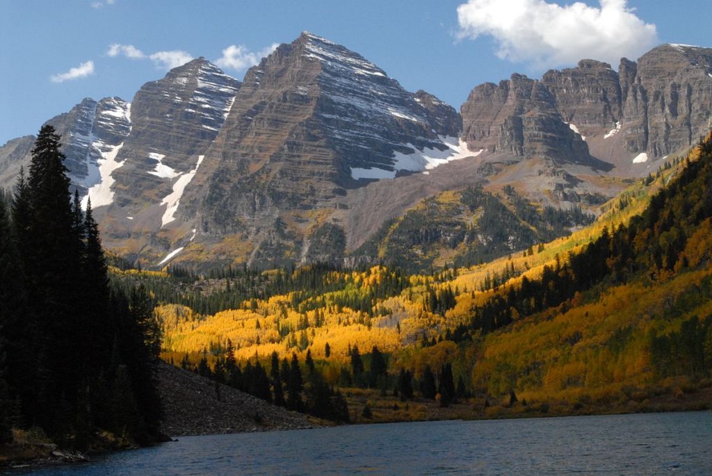 white mountains forest