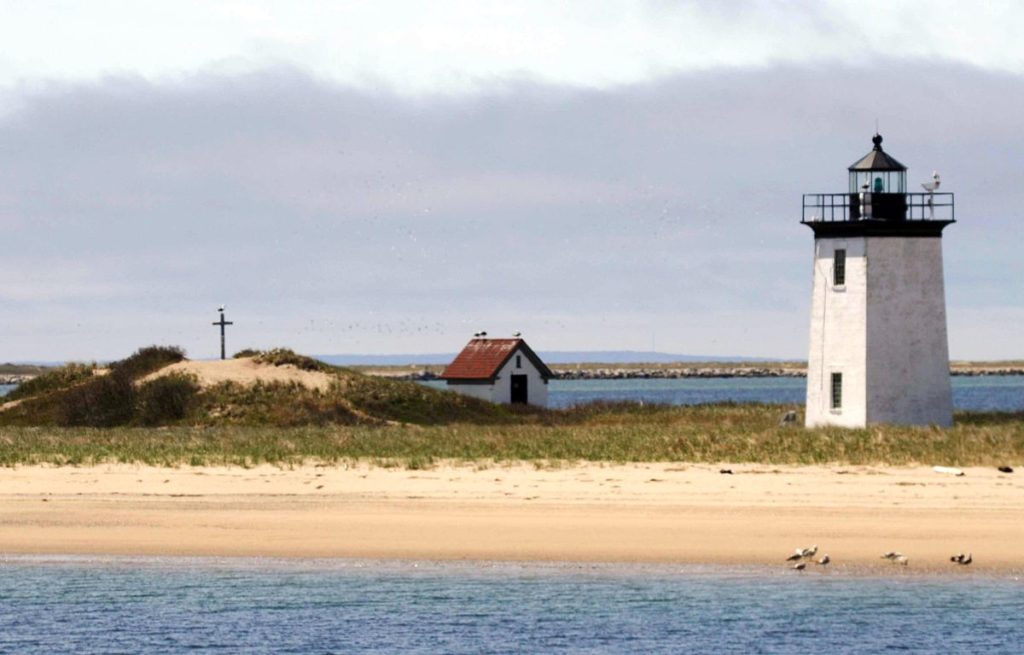 lighthouse and bird watching