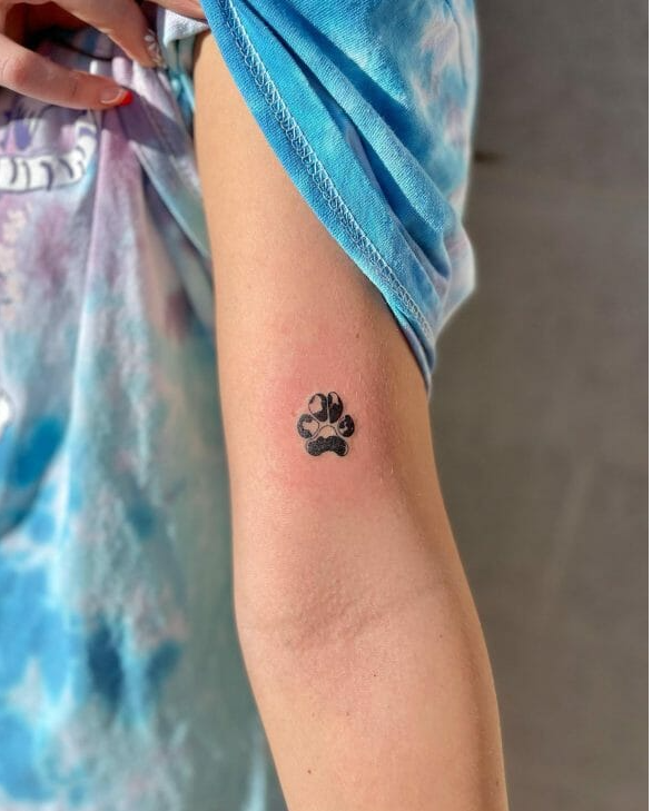 memorial paw print tattoo  on arm